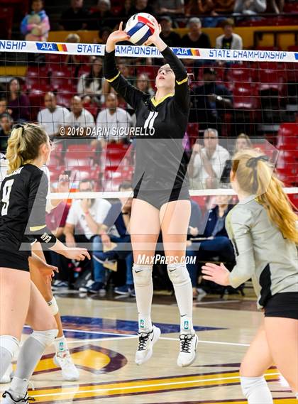 Thumbnail 3 in Basha vs Perry (AIA 6A State Finals) photogallery.