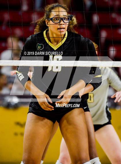 Thumbnail 1 in Basha vs Perry (AIA 6A State Finals) photogallery.