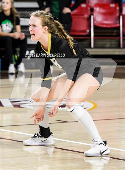 Thumbnail 3 in Basha vs Perry (AIA 6A State Finals) photogallery.
