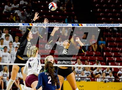 Thumbnail 3 in Basha vs Perry (AIA 6A State Finals) photogallery.