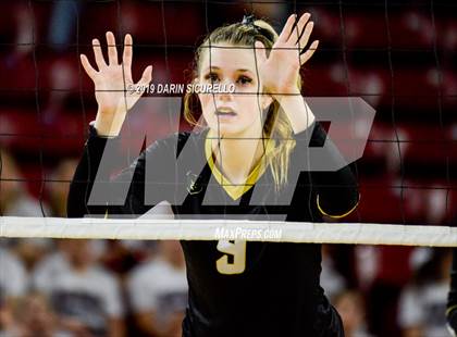 Thumbnail 1 in Basha vs Perry (AIA 6A State Finals) photogallery.