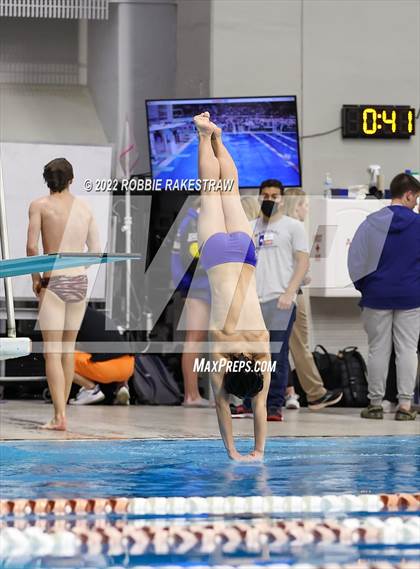 Thumbnail 3 in UIL 6A Boys Swimming & Diving State Prelims photogallery.