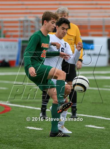 Saturday, Jan 9, 2016