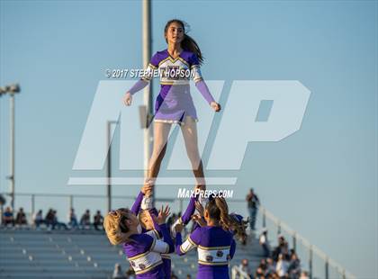 Thumbnail 3 in Tokay @ Chavez photogallery.