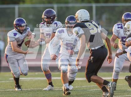 Thumbnail 3 in Tokay @ Chavez photogallery.