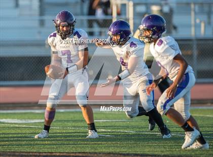Thumbnail 1 in Tokay @ Chavez photogallery.
