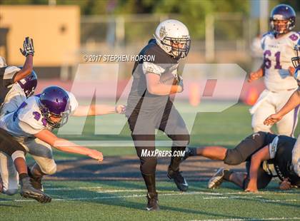 Thumbnail 3 in Tokay @ Chavez photogallery.