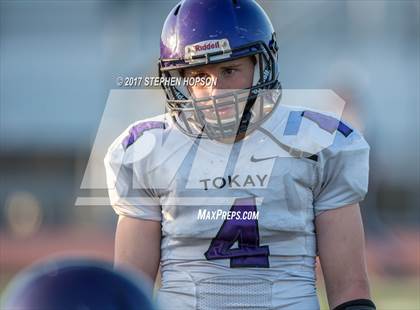 Thumbnail 1 in Tokay @ Chavez photogallery.