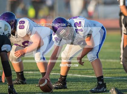 Thumbnail 3 in Tokay @ Chavez photogallery.