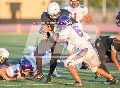 Thumbnail 1 in Tokay @ Chavez photogallery.