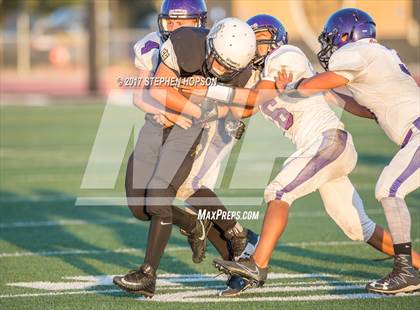 Thumbnail 2 in Tokay @ Chavez photogallery.