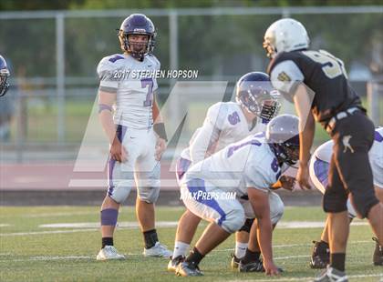 Thumbnail 2 in Tokay @ Chavez photogallery.