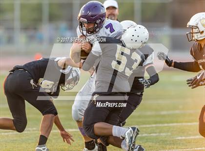 Thumbnail 3 in Tokay @ Chavez photogallery.