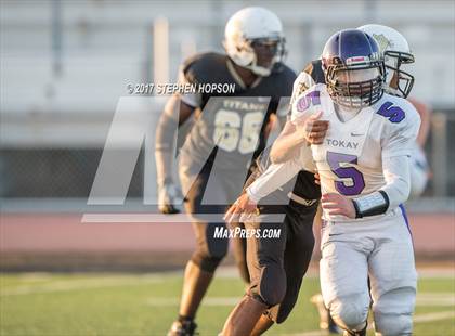 Thumbnail 2 in Tokay @ Chavez photogallery.