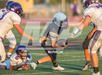 Thumbnail 2 in Tokay @ Chavez photogallery.