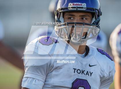 Thumbnail 2 in Tokay @ Chavez photogallery.