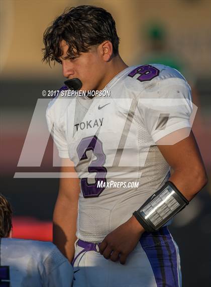 Thumbnail 3 in Tokay @ Chavez photogallery.