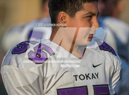 Thumbnail 2 in Tokay @ Chavez photogallery.