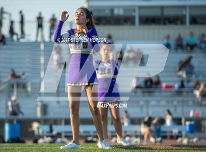 Thumbnail 1 in Tokay @ Chavez photogallery.