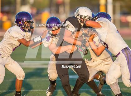 Thumbnail 3 in Tokay @ Chavez photogallery.