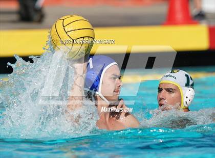 Thumbnail 2 in Castro Valley vs. Irvington photogallery.