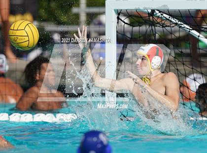 Thumbnail 3 in Castro Valley vs. Irvington photogallery.