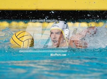 Thumbnail 3 in Castro Valley vs. Irvington photogallery.