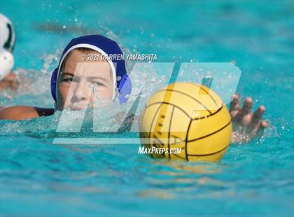 Thumbnail 3 in Castro Valley vs. Irvington photogallery.