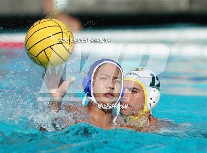Thumbnail 3 in Castro Valley vs. Irvington photogallery.