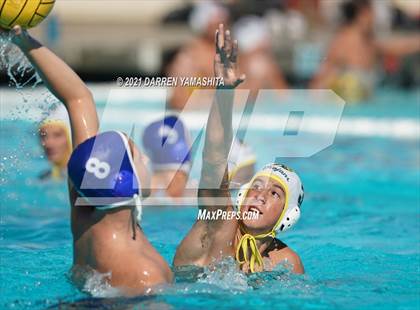 Thumbnail 2 in Castro Valley vs. Irvington photogallery.