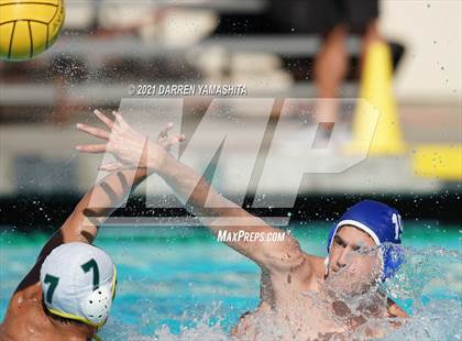 Thumbnail 1 in Castro Valley vs. Irvington photogallery.
