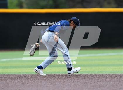Thumbnail 3 in Loyola vs St Francis photogallery.