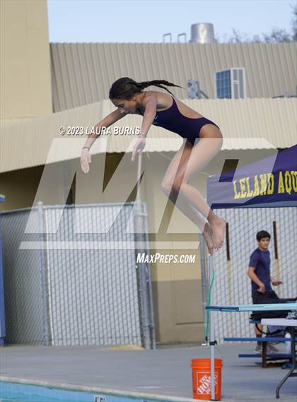 Thumbnail 1 in Evergreen Valley @ Leland (Diving) photogallery.