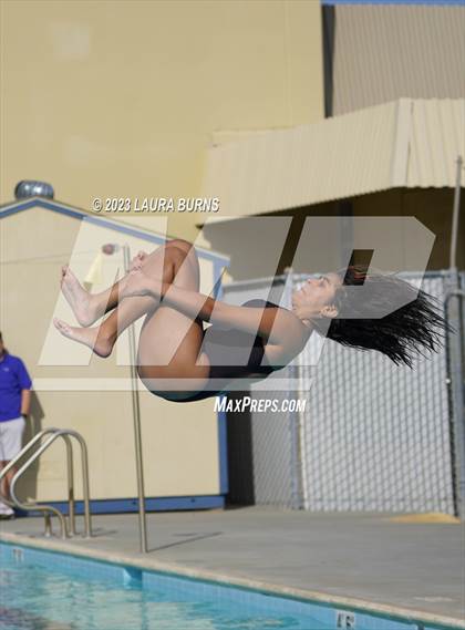 Thumbnail 1 in Evergreen Valley @ Leland (Diving) photogallery.