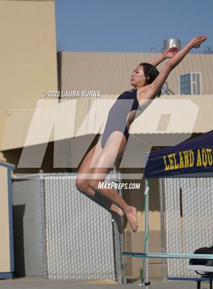 Thumbnail 3 in Evergreen Valley @ Leland (Diving) photogallery.