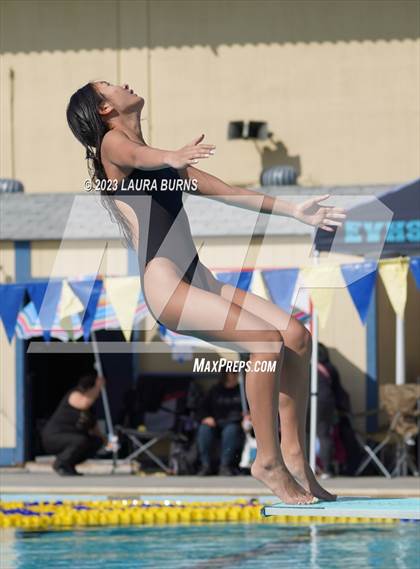 Thumbnail 2 in Evergreen Valley @ Leland (Diving) photogallery.