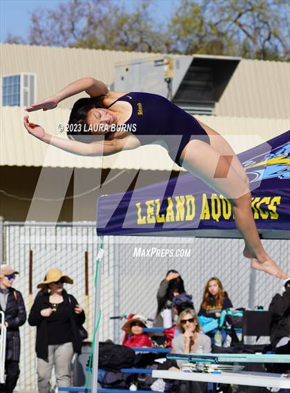 Thumbnail 3 in Evergreen Valley @ Leland (Diving) photogallery.