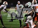 Photo from the gallery "Stockbridge @ Ola"