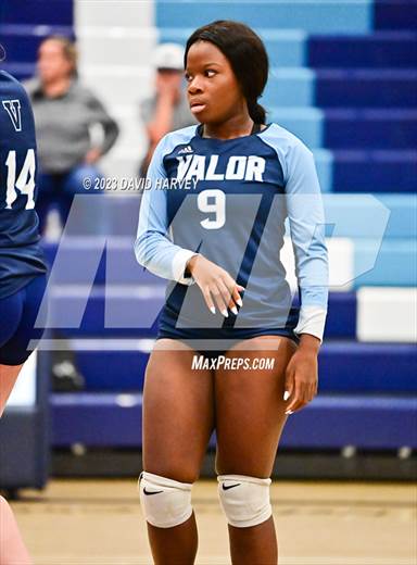Valor volley sales shorts