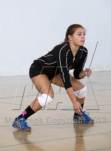 null - Photo 01