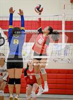 Photo from the gallery "Muir @ Pasadena"