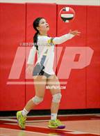 Photo from the gallery "Muir @ Pasadena"