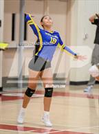 Photo from the gallery "Muir @ Pasadena"