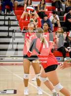 Photo from the gallery "Muir @ Pasadena"