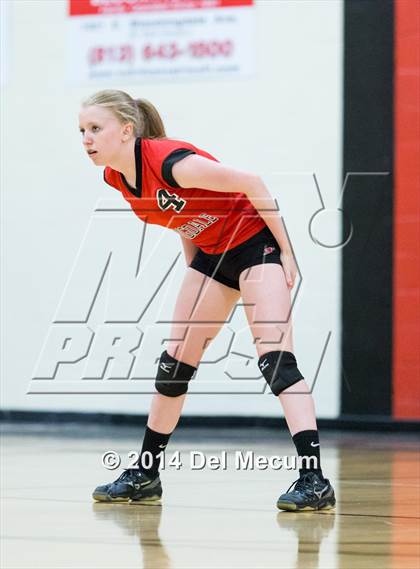Thumbnail 2 in JV: Riverview @ Bloomingdale photogallery.