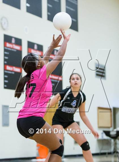 Thumbnail 1 in Riverview @ Bloomingdale photogallery.