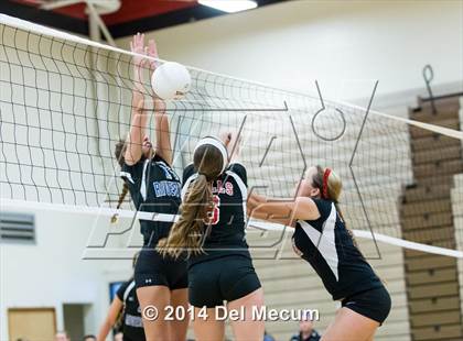 Thumbnail 2 in Riverview @ Bloomingdale photogallery.