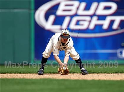Thumbnail 3 in Birdville @ Highland Park photogallery.