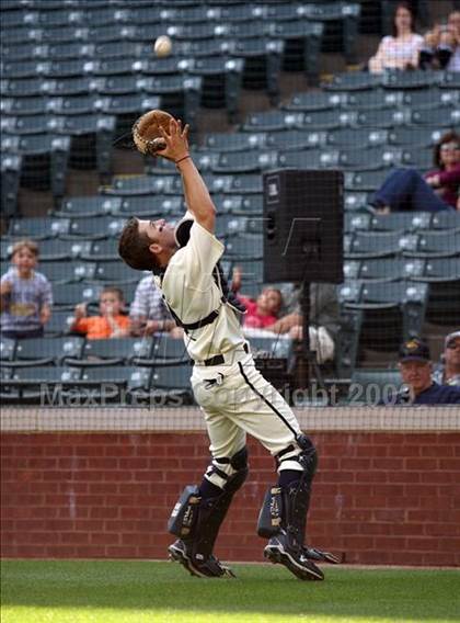 Thumbnail 3 in Birdville @ Highland Park photogallery.