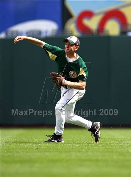 Thumbnail 3 in Birdville @ Highland Park photogallery.